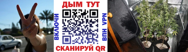 Бошки Шишки Bruce Banner  Борзя 